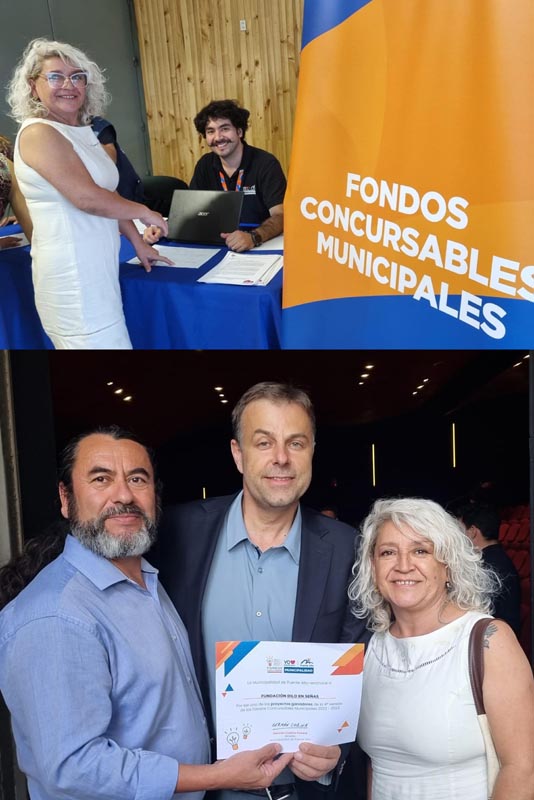 Proyecto Puente Alto Bucea